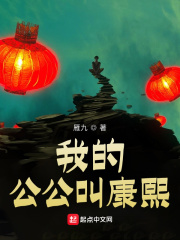 我的公公叫康熙1085