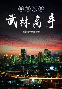 我真的是武林高手epub