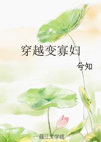 小说穿越变寡妇