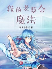 老婆是魔法少女女主