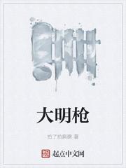 大明枪械设计师TXT