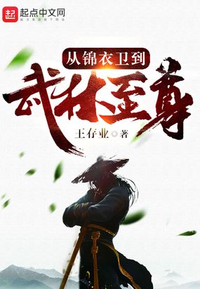 从锦衣卫到武林至尊王存业